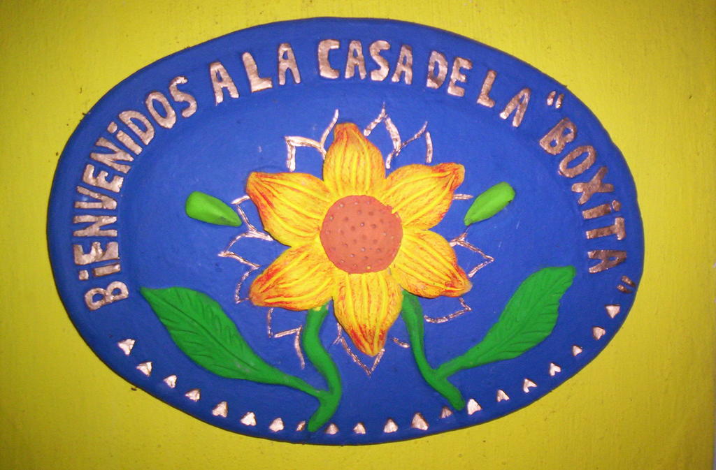 Posada El Jardin Ticul Værelse billede
